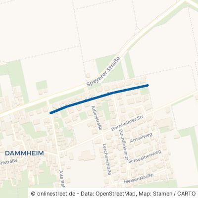 Falkenstraße Landau in der Pfalz Dammheim 