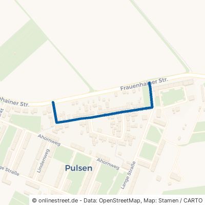 Rudolf-Friedrichs-Straße 01609 Röderaue Pulsen 