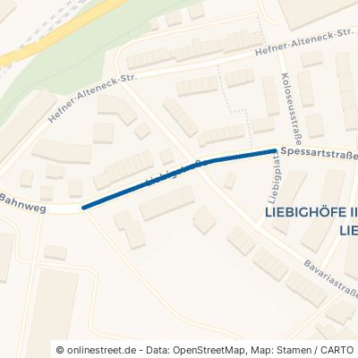 Liebigstraße 63743 Aschaffenburg Innenstadt