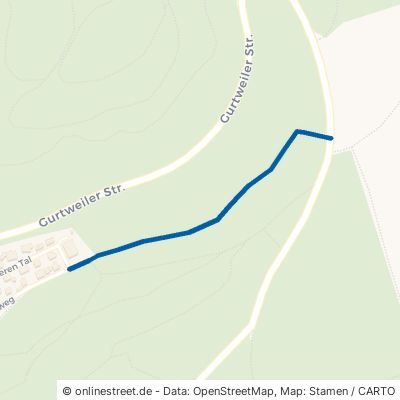 Alte Gurtweiler Straße Waldshut-Tiengen 