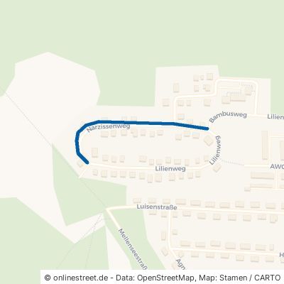 Narzissenweg Zossen Wünsdorf 