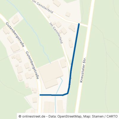 Langenauer Straße 57078 Siegen Sohlbach Buchen