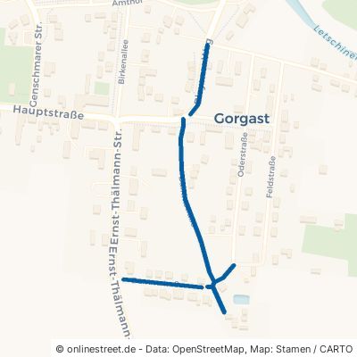 Dammstraße Küstriner Vorland Gorgast 