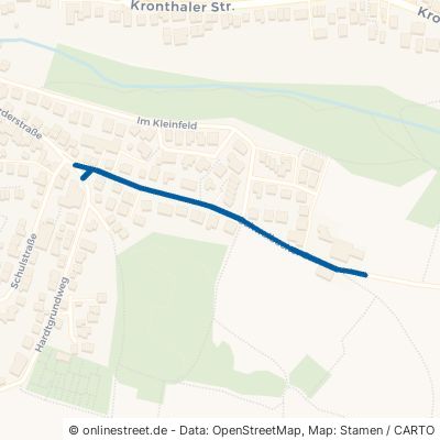 Schwalbacher Straße Königstein im Taunus Mammolshain 