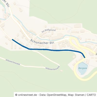 Alte Schonacher Straße 78098 Triberg im Schwarzwald Stadtgebiet 