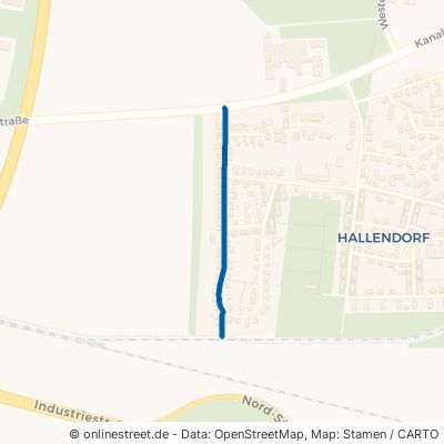 Brunnenriede 38229 Salzgitter Hallendorf Hallendorf