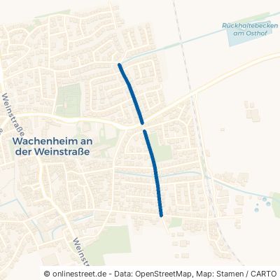 Römerweg Wachenheim an der Weinstraße Wachenheim 
