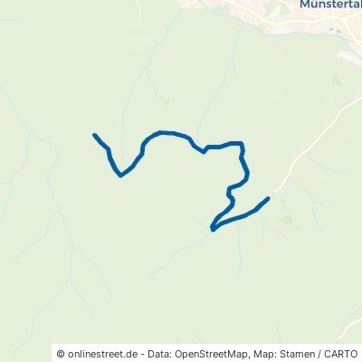Köpflelägerweg Münstertal Untermünstertal 