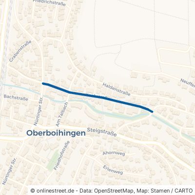 Kochstraße 72644 Oberboihingen 