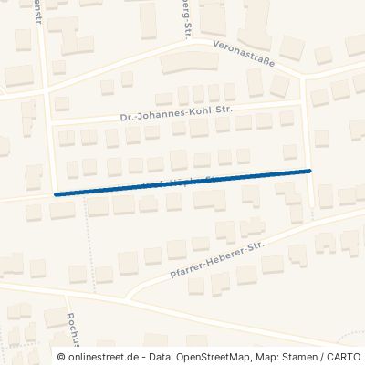 Prof.-Höpke-Straße 55411 Bingen am Rhein 