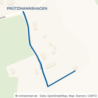 Feldweg Süderholz Prützmannshagen 