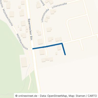 Siebensternstraße 95237 Weißdorf 