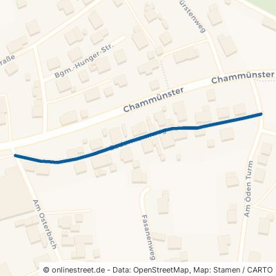Badermannweg Cham Chammünster 