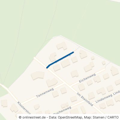 Birkenweg Mengerskirchen Waldernbach 