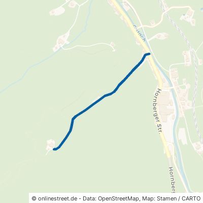 Wonnenbach Gutach 