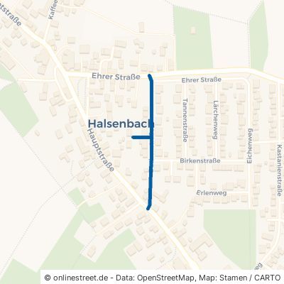 Buchenstraße Halsenbach 