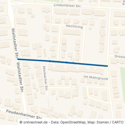 Erbacher Straße 68549 Ilvesheim 