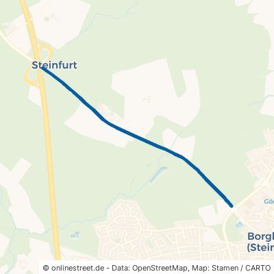 Burgsteinfurter Straße 48565 Steinfurt Borghorst 