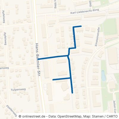 Niels-Bohr-Straße Greifswald Südstadt 