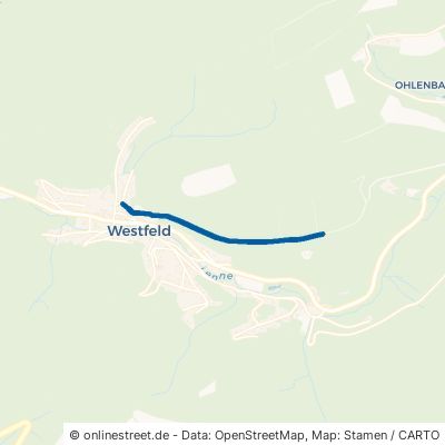 Birken-Höhenweg Schmallenberg Westfeld 