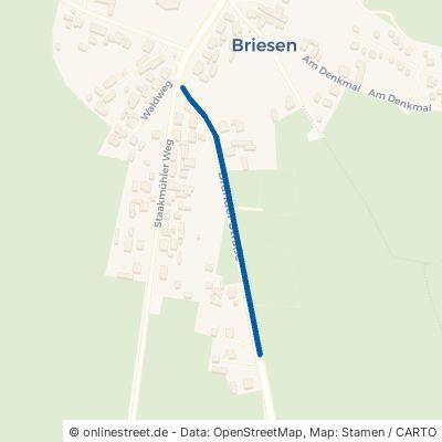 Brander Straße Halbe Briesen 