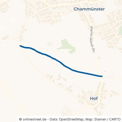 Hofgartenweg Cham Chammünster 