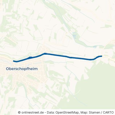 Diersburger Straße 77948 Friesenheim Oberschopfheim 