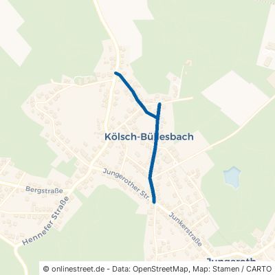 Heckenstraße Buchholz Jungeroth 