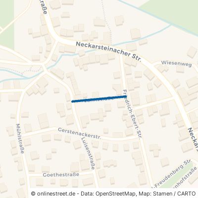 Jahnstraße 69250 Schönau 