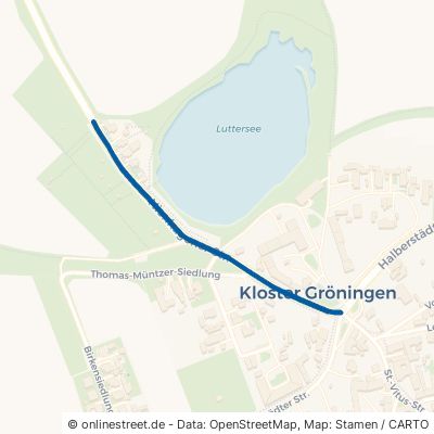 Nienhagener Straße Gröningen Kloster Gröningen 