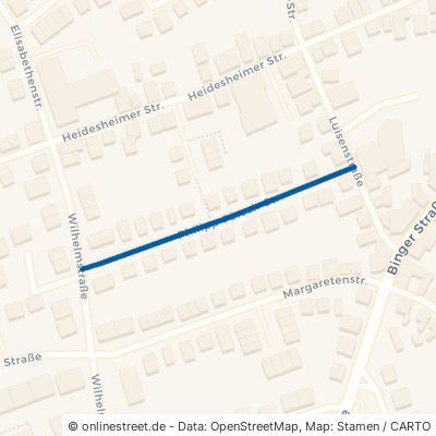Philipp-Försch-Straße 55257 Budenheim 