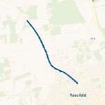 Helweg Raesfeld 