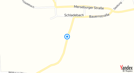 Elsterfloßgraben (Verlandet) 06237 Leuna Schladebach 
