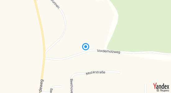 Vorderholzweg Itzehoe 