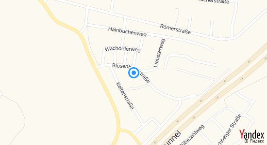 Bodelschwinghweg 71229 Leonberg 