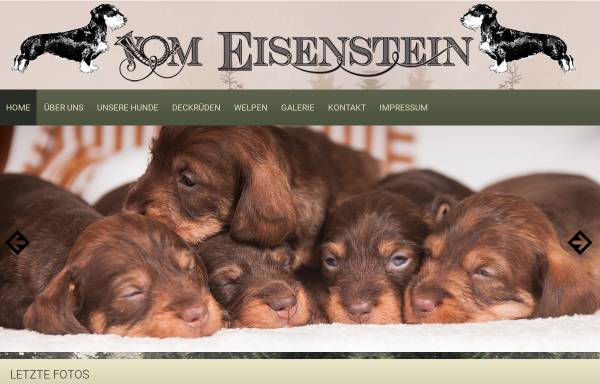 Vorschau von www.teckel-vom-eisenstein.de, Vom Eisenstein