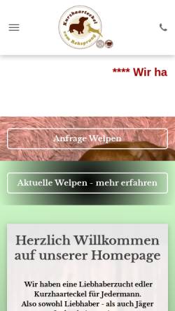 Vorschau der mobilen Webseite www.kurzhaarteckel-vom-rehsprung.de, Vom Rehsprung