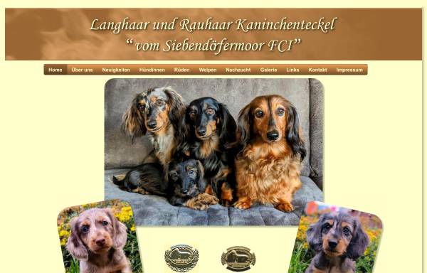 Vorschau von www.kaninchendackel.de, Vom Siebendörfermoor