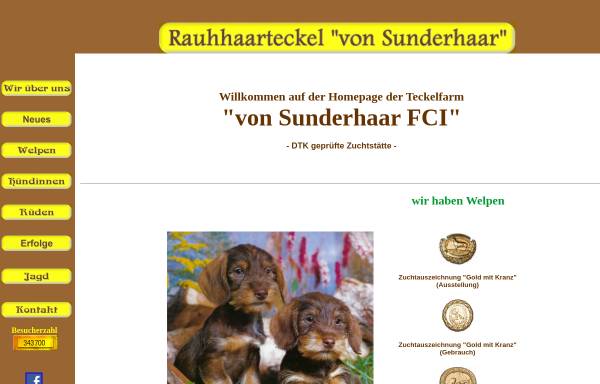 Vorschau von www.teckel-sunderhaar.de, Von Sunderhaar