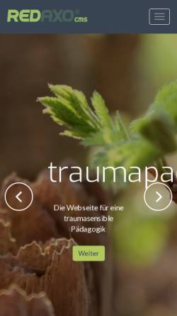 Vorschau der mobilen Webseite www.traumapaedagogik.de, Traumapaedagogik