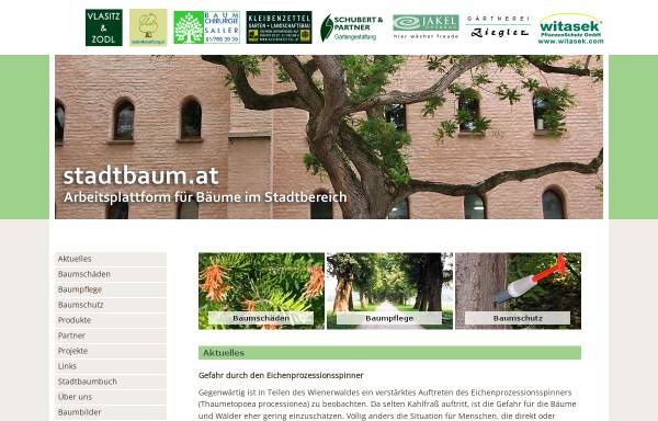 Vorschau von www.stadtbaum.at, Arbeitsplattform für Bäume im Stadtbereich [stadtbaum.at]