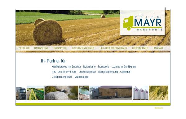 Vorschau von www.peter-mayr.de, Mayr, Peter