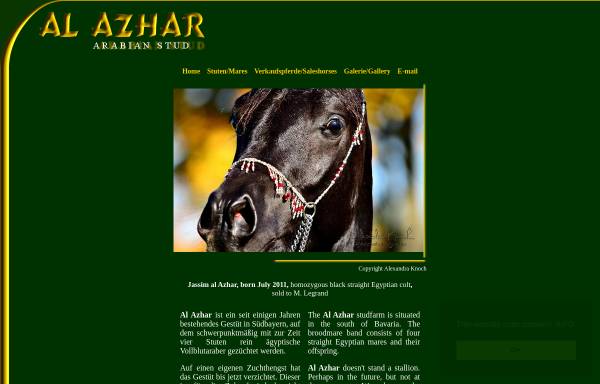 Vorschau von www.alazhar.de, Al Azhar Arabian, Rottenburg