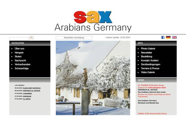 Vorschau von www.sax-arabians.de, Sax Arabians Germany