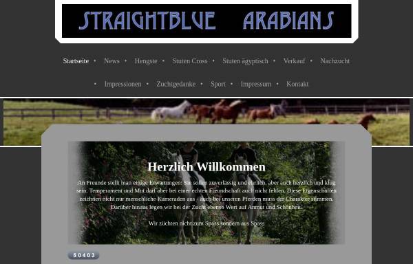Vorschau von www.irtzing.de, Straightblue Arabians, Lautrach