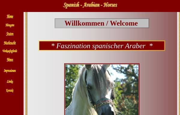 Vorschau von www.spanish-arabian.purespace.de, Spanisch Arabian Horses, Weilheim/Teck