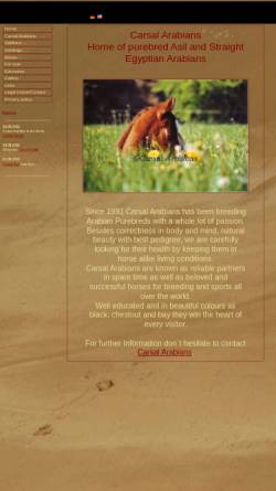 Vorschau der mobilen Webseite carsal.de, Carsal Arabians, Harkebrügge