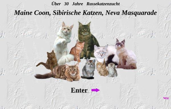 Vorschau von www.cats-online.org, Maine Coon Zucht