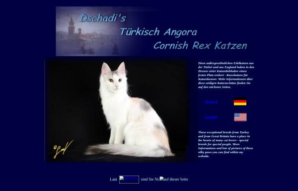 Vorschau von www.angorakatzen.de, Dschadi's Türkisch Angora