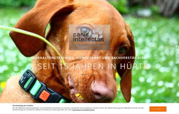 Vorschau von www.canis-intellectus.de, Canis intellectus